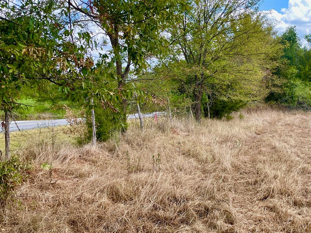 281 E Fm 979 Franklin TX 77856