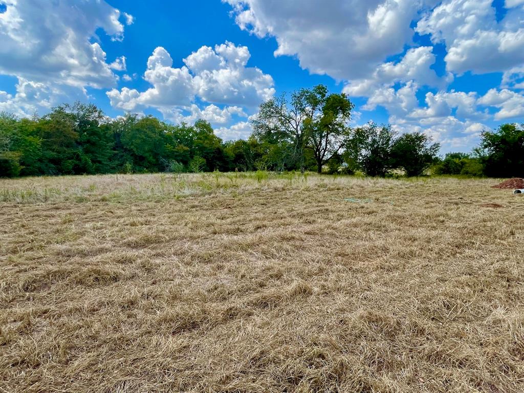 281 E Fm 979 Franklin TX 77856