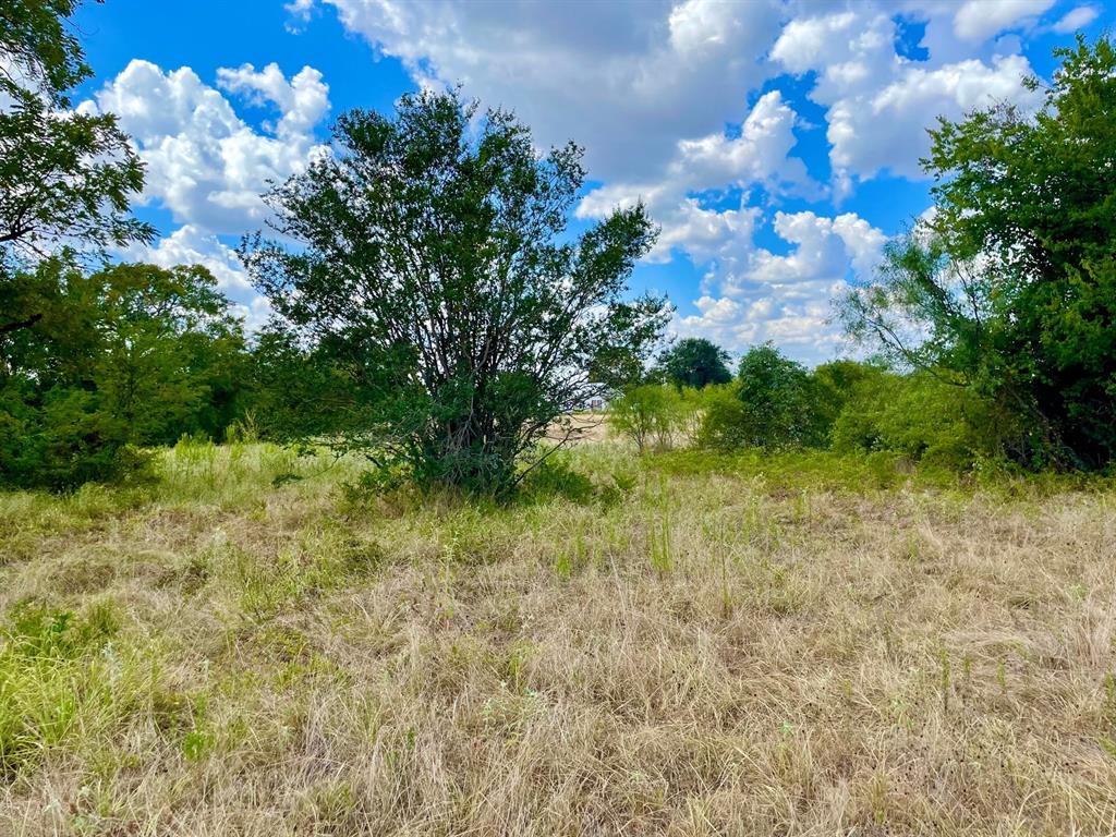 281 E Fm 979 Franklin TX 77856