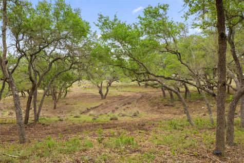 4112 Schumann Road Stonewall TX 78671