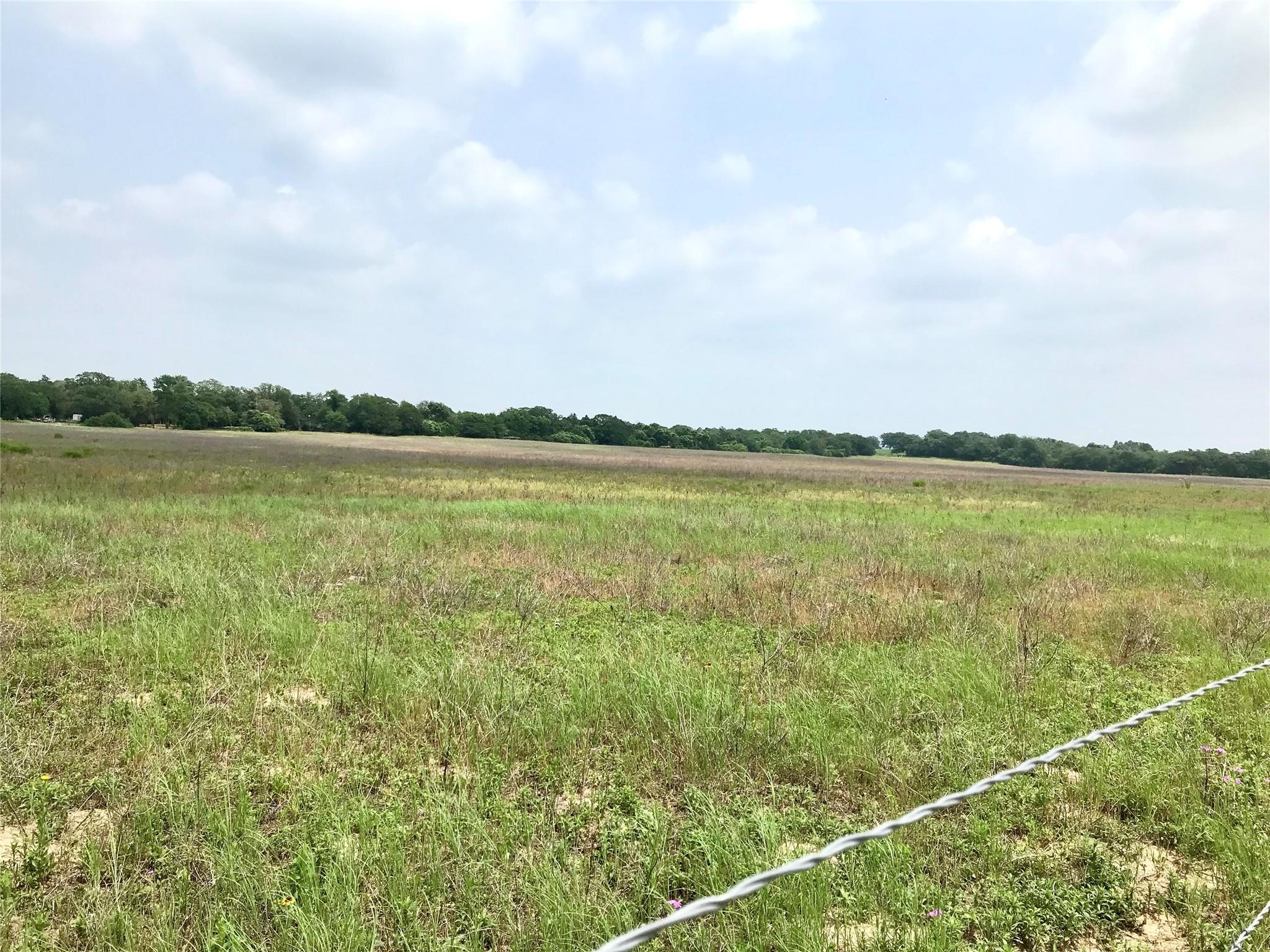 1672 Sayers Tract 3 Road Bastrop TX 78602