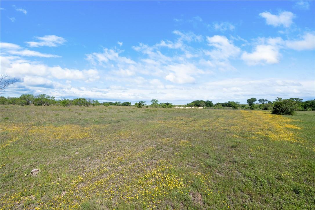 Tbd County Road 276 Liberty Hill TX 78605
