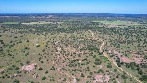 0 Hickory Grove - 61 Acres Road Pontotoc TX 76856