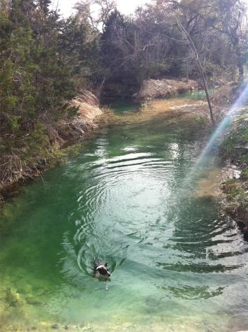 8170 N Us Highway 281 Highway Blanco TX 78606