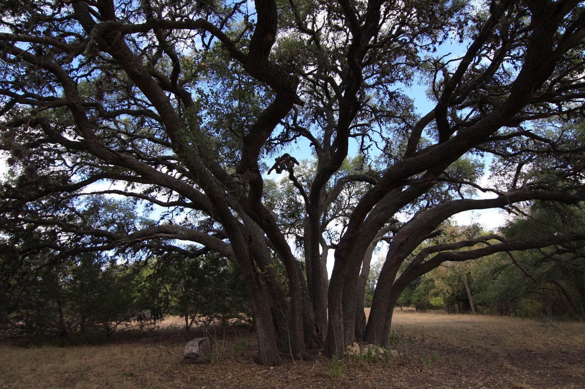 8170 N Us Highway 281 Highway Blanco TX 78606