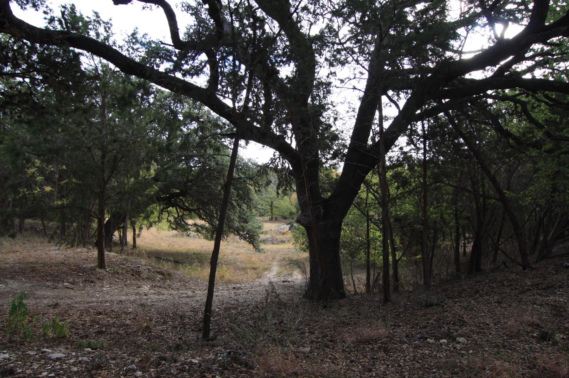 8170 N Us Highway 281 Highway Blanco TX 78606