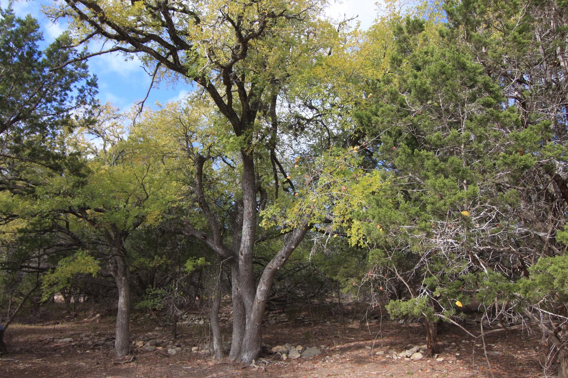 8170 N Us Highway 281 Highway Blanco TX 78606