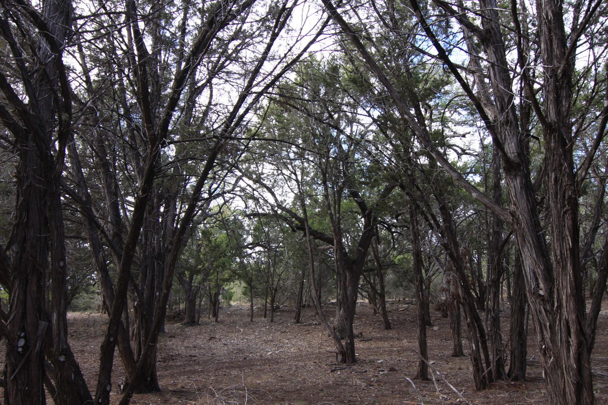 8170 N Us Highway 281 Highway Blanco TX 78606