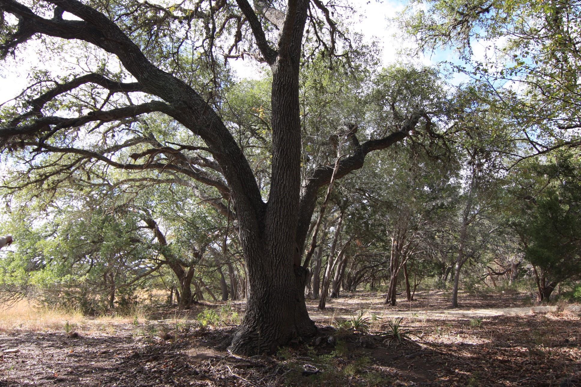 8170 N Us Highway 281 Highway Blanco TX 78606