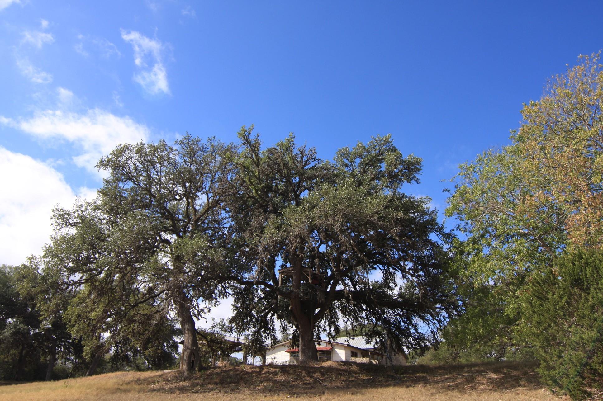 8170 N Us Highway 281 Highway Blanco TX 78606
