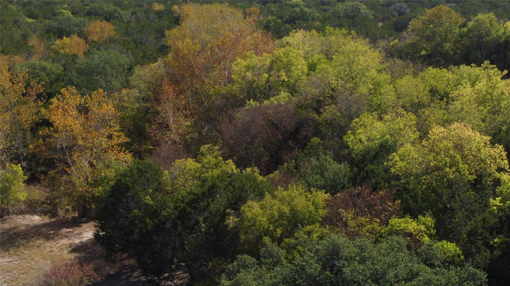8170 N Us Highway 281 Highway Blanco TX 78606