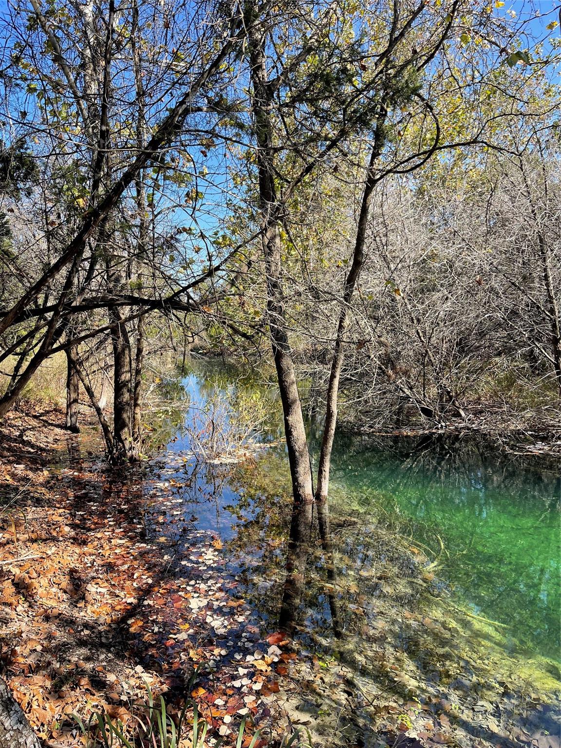 8170 N Us Highway 281 Highway Blanco TX 78606