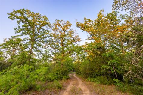 Tbd S Highway 77 Rockdale TX 76567