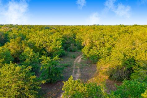 Tbd S Highway 77 Rockdale TX 76567