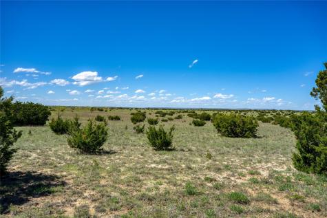 4121 County Road 2719 Evant TX 76525