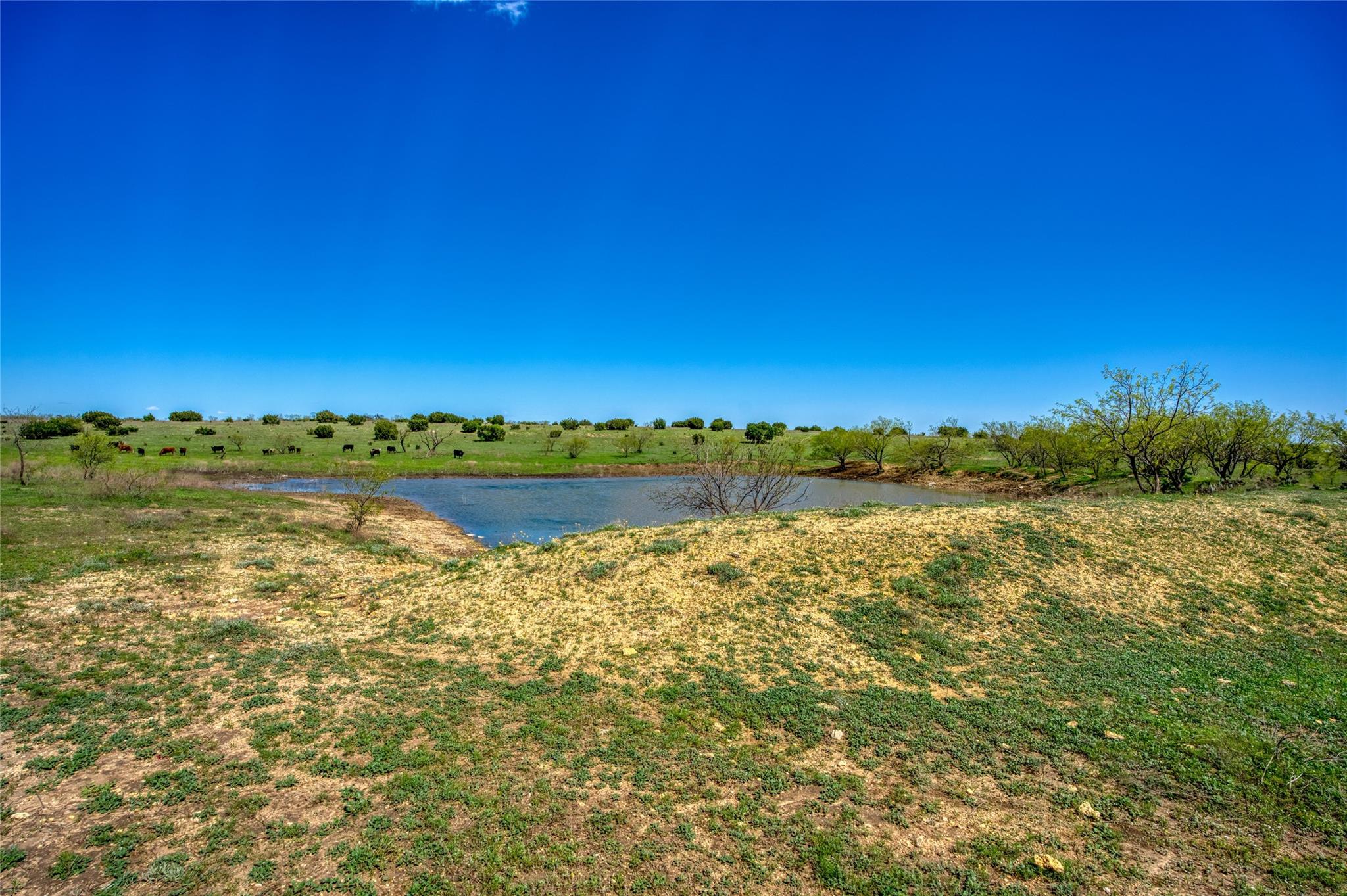 4121 County Road 2719 Evant TX 76525