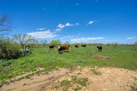 4121 County Road 2719 Evant TX 76525
