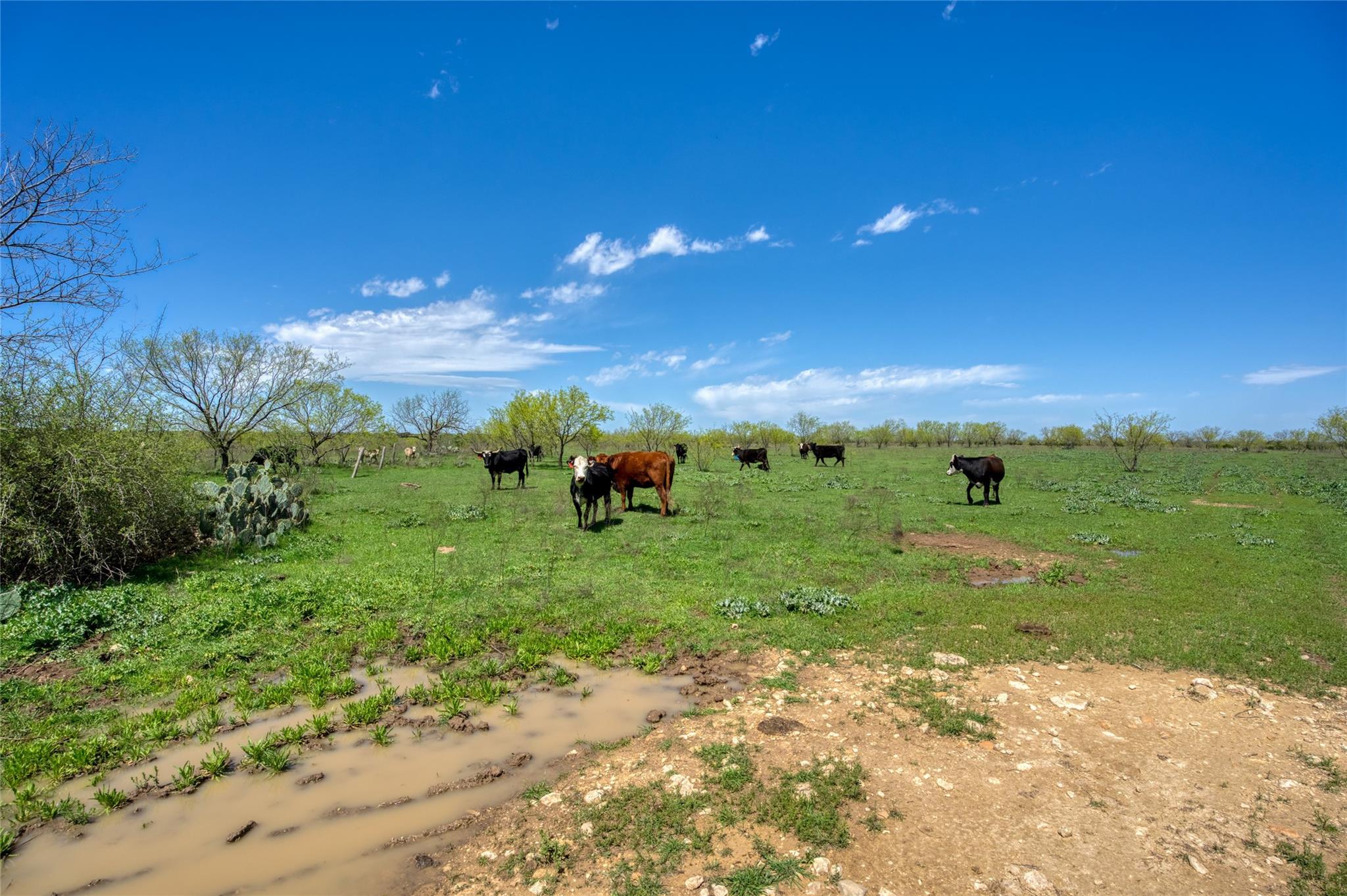 4121 County Road 2719 Evant TX 76525