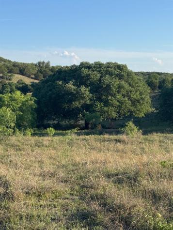 460 Private Road 1236 Lampasas TX 76550