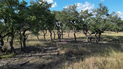 7819 Ranch To Market Road 2766 Ranch Johnson City TX 78636