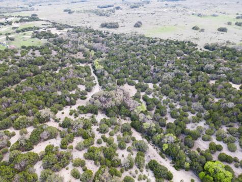 50.44 Acres County Road 3100 Lampasas TX 76550