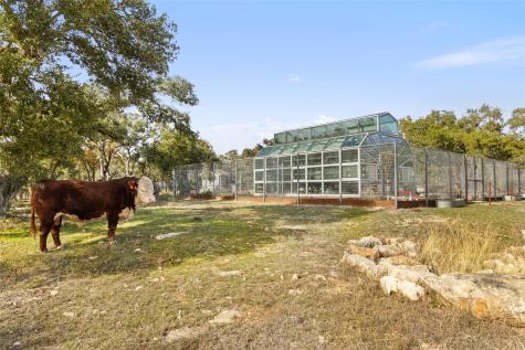 751 Prochnow Road Dripping Springs TX 78620
