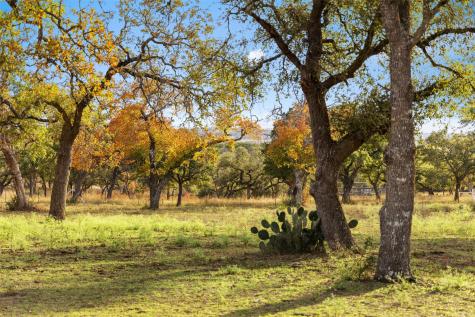 751 Prochnow Road Dripping Springs TX 78620