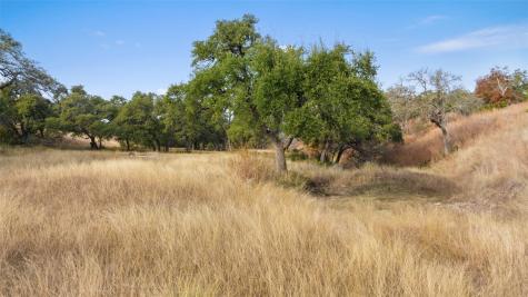 751 Prochnow Road Dripping Springs TX 78620