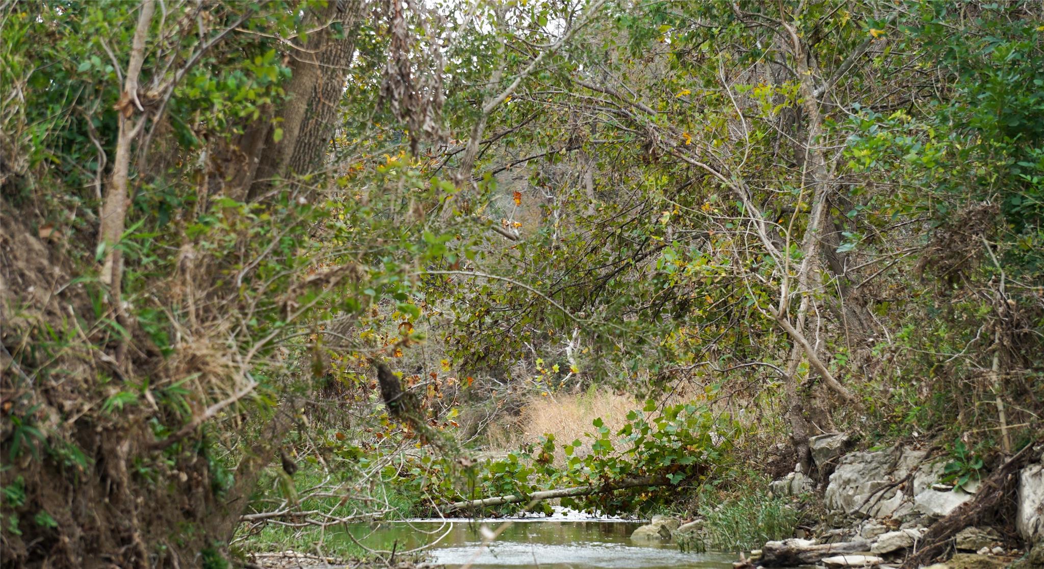 000 River Run Leander TX 78641