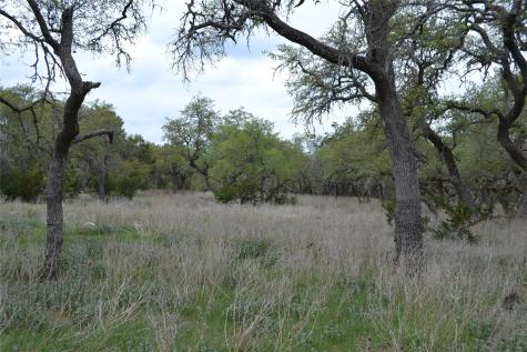 4016 Mcgregor Lane Dripping Springs TX 78620