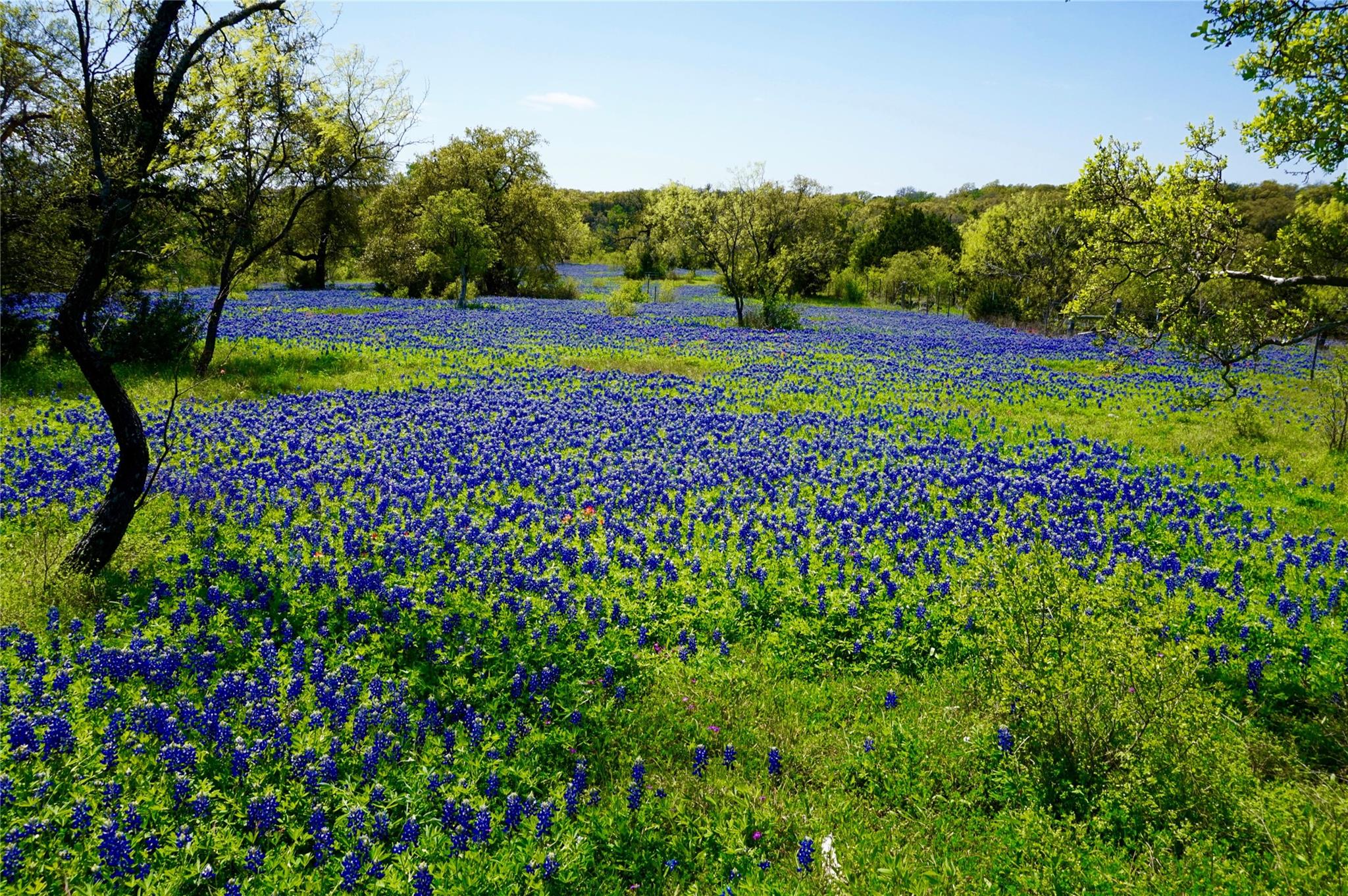 13131 E Fm 1431 Highway Marble Falls TX 78654