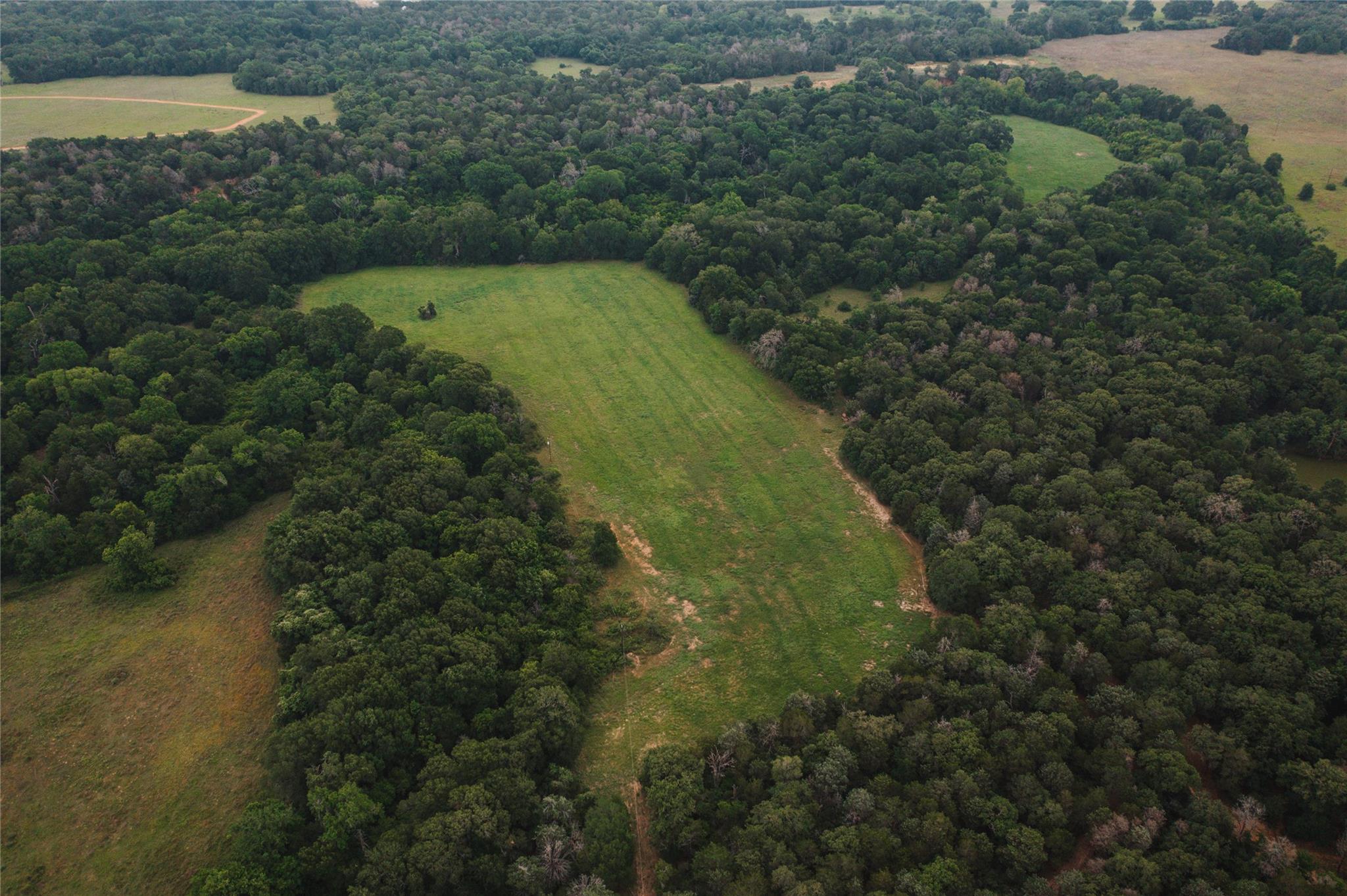 00 Street Delight Road Paige TX 78659