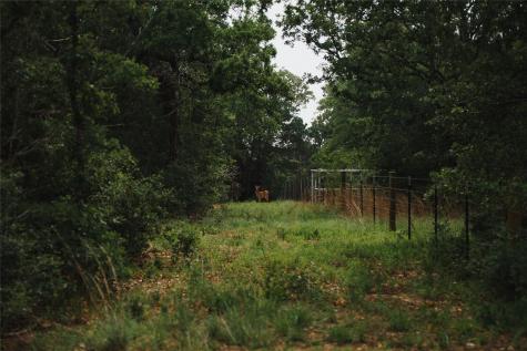 00 Street Delight Road Paige TX 78659