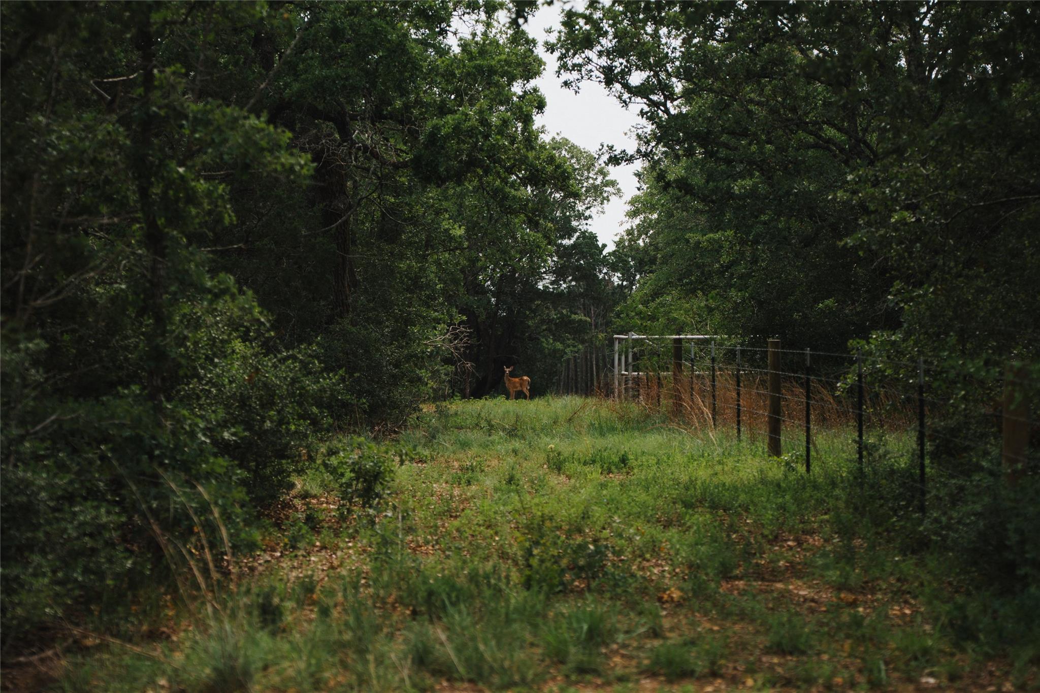 00 Street Delight Road Paige TX 78659