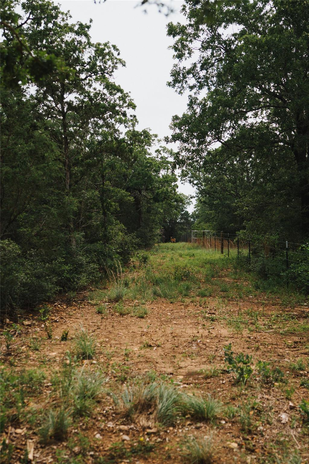 00 Street Delight Road Paige TX 78659