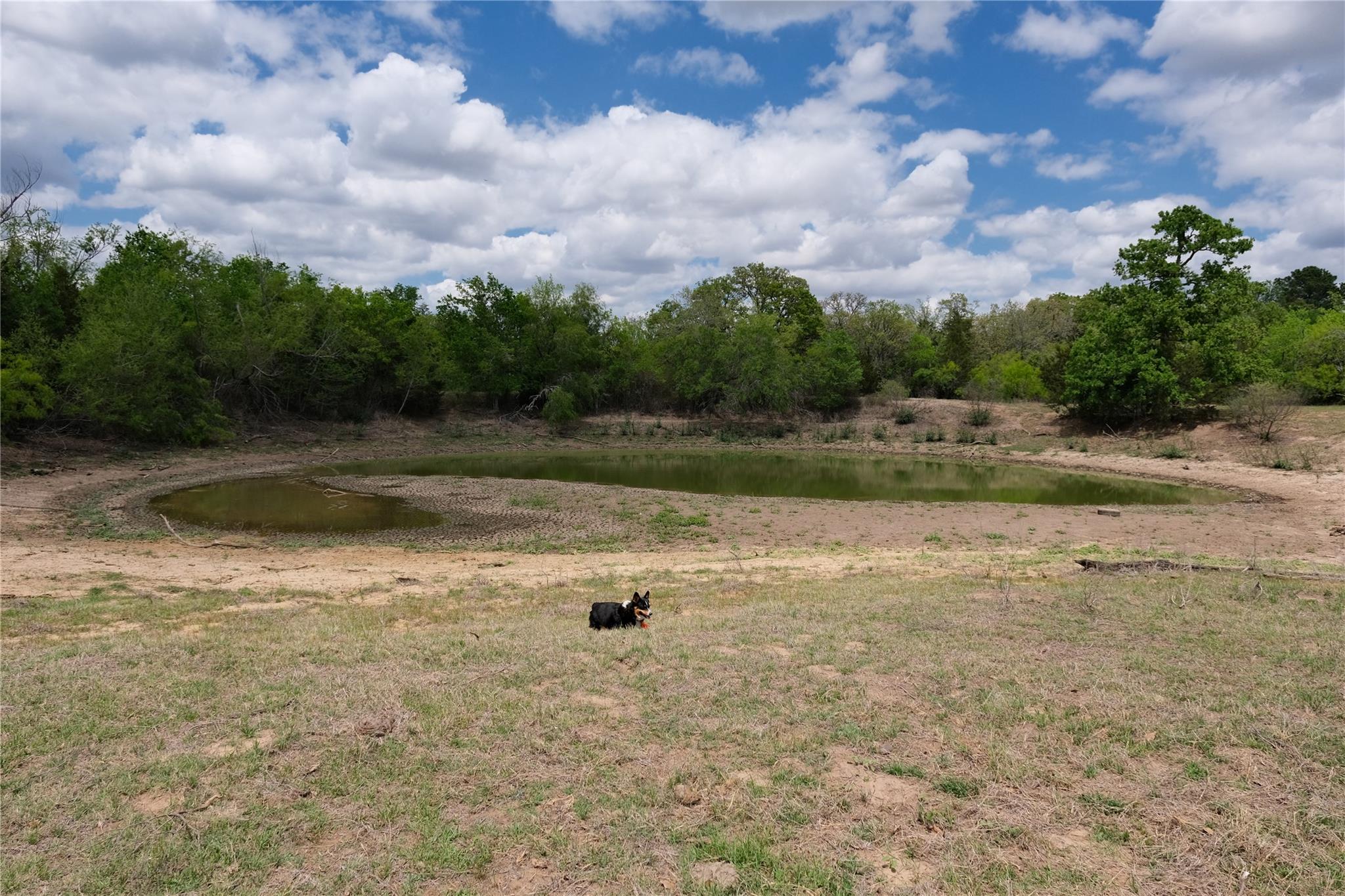 446 Herron Trail Mcdade TX 78650