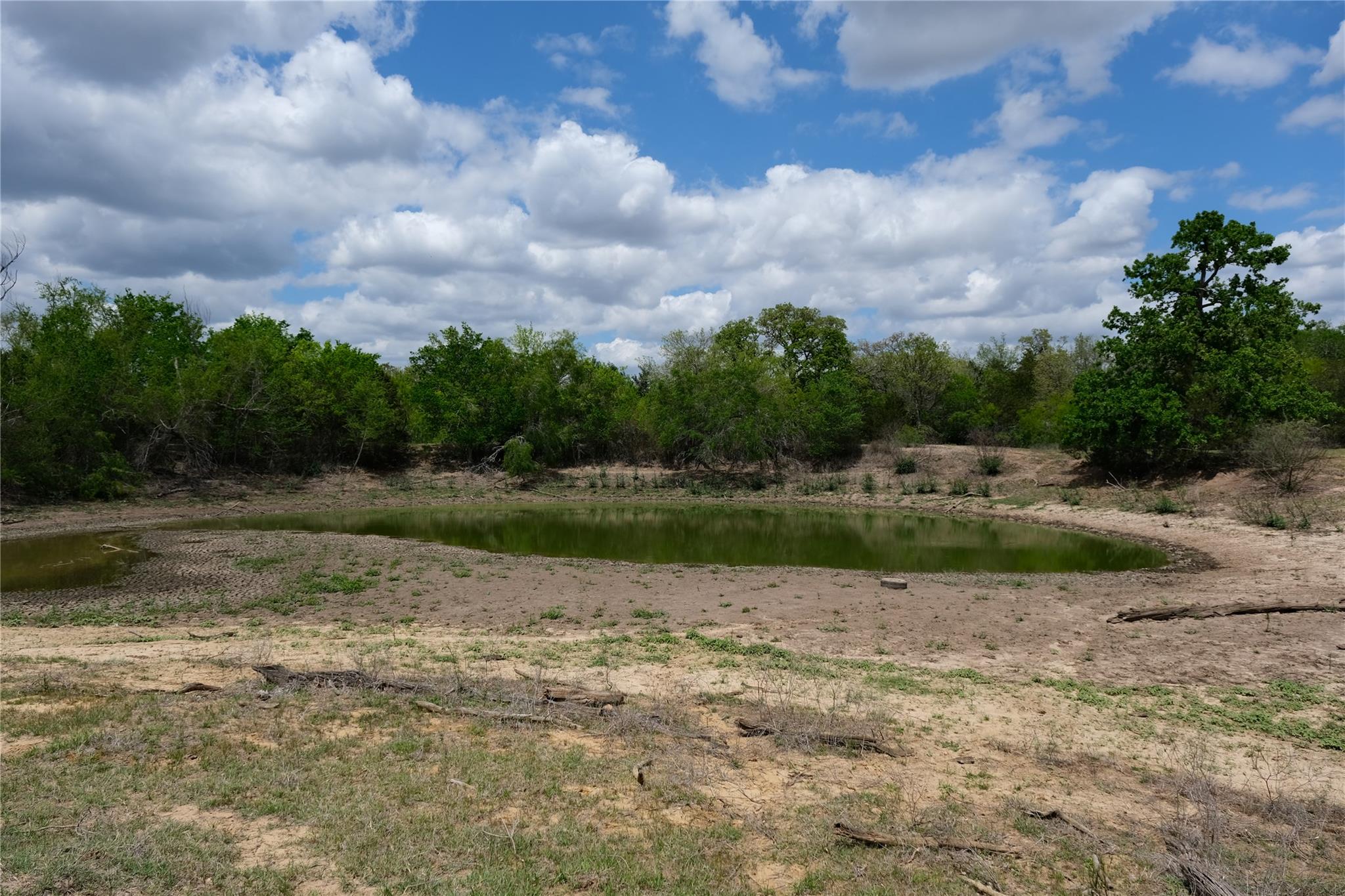 446 Herron Trail Mcdade TX 78650