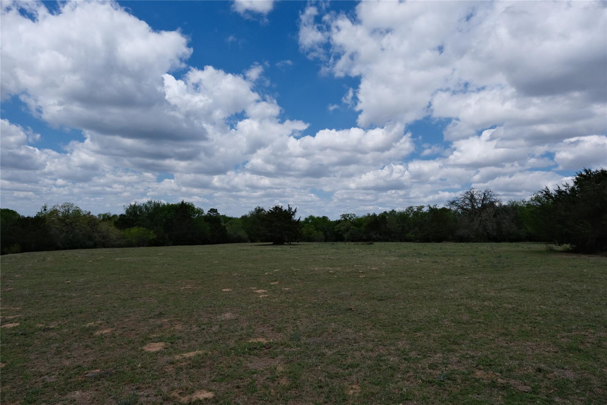 446 Herron Trail Mcdade TX 78650