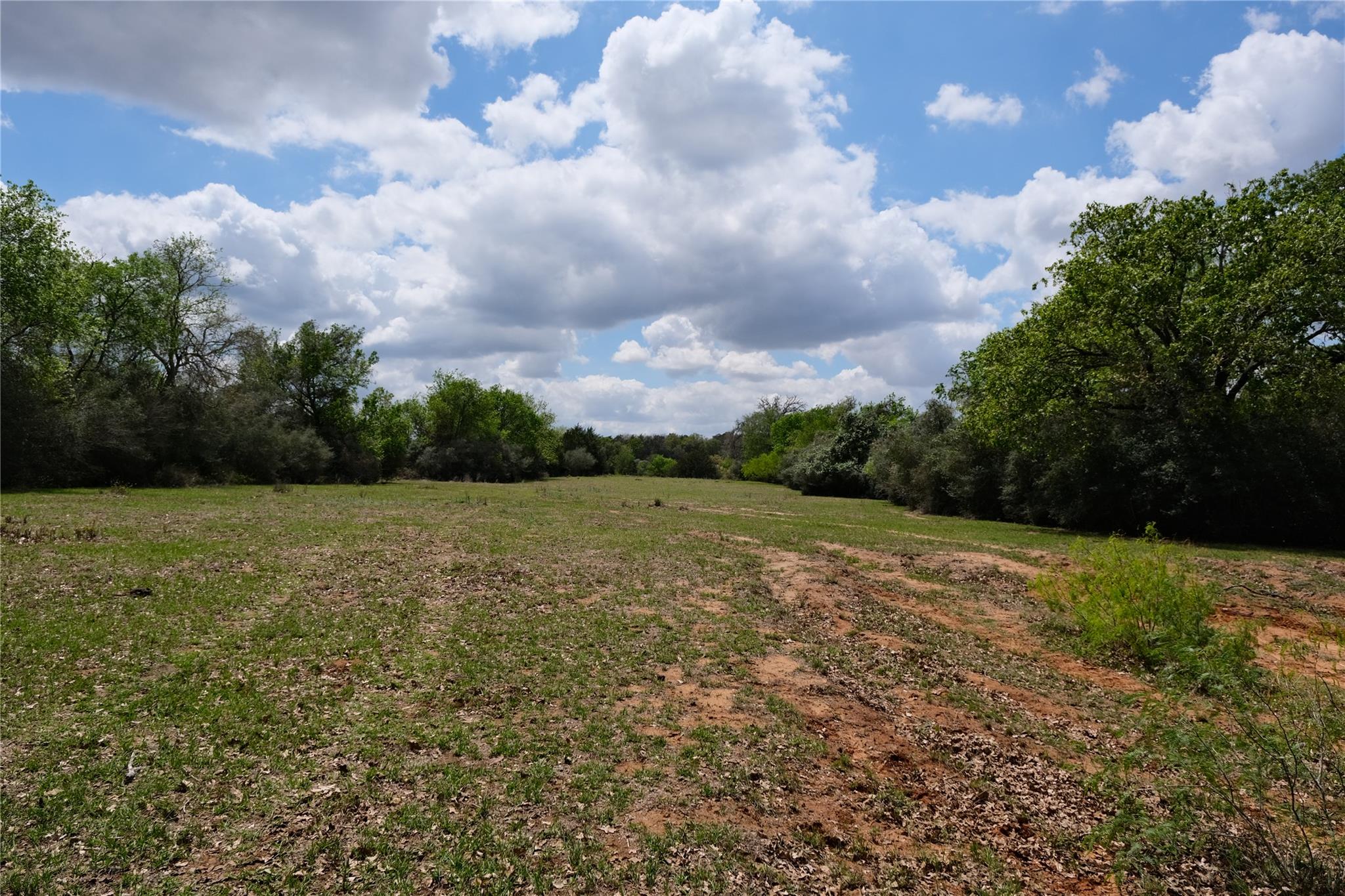 446 Herron Trail Mcdade TX 78650