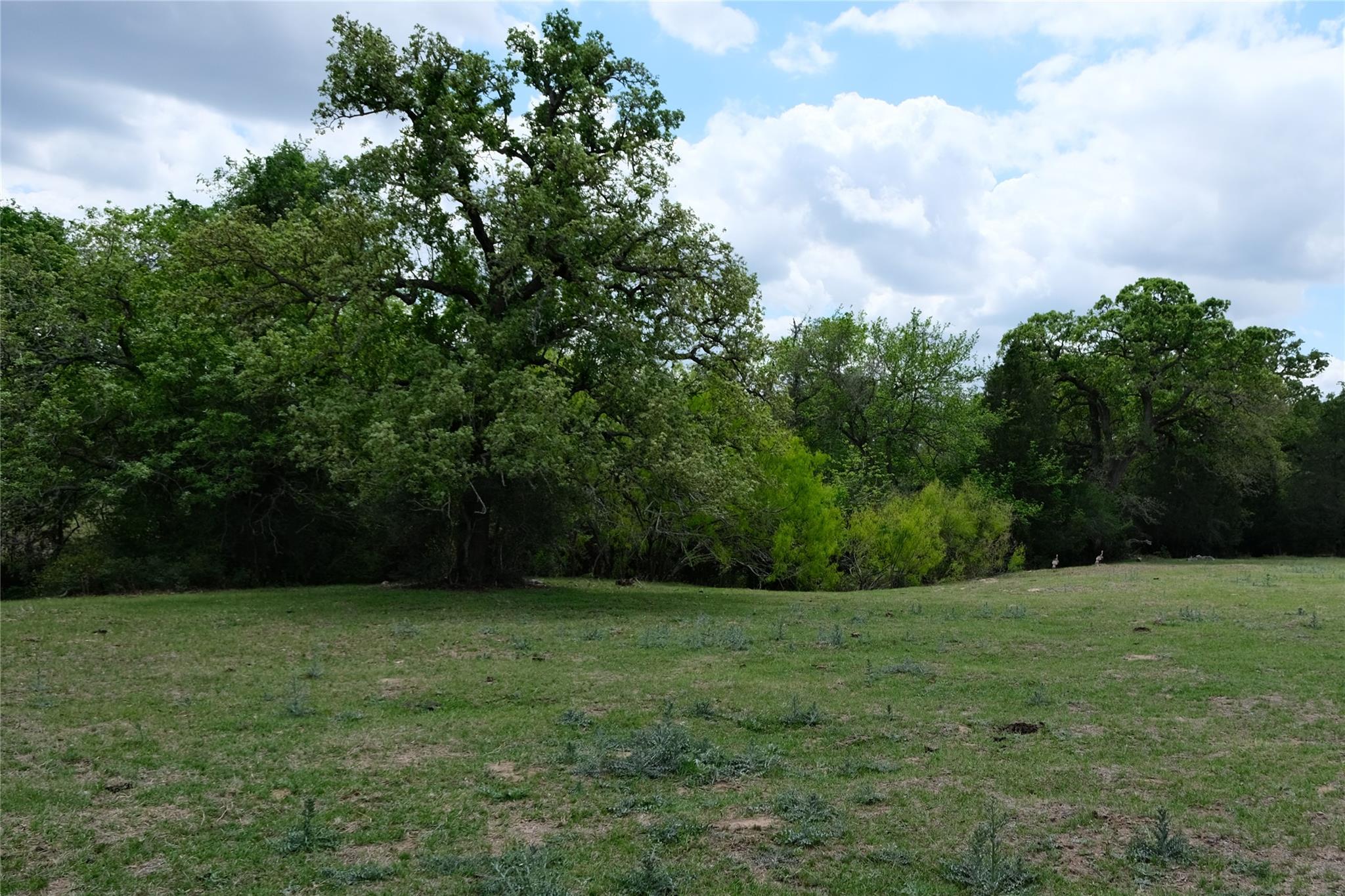 446 Herron Trail Mcdade TX 78650