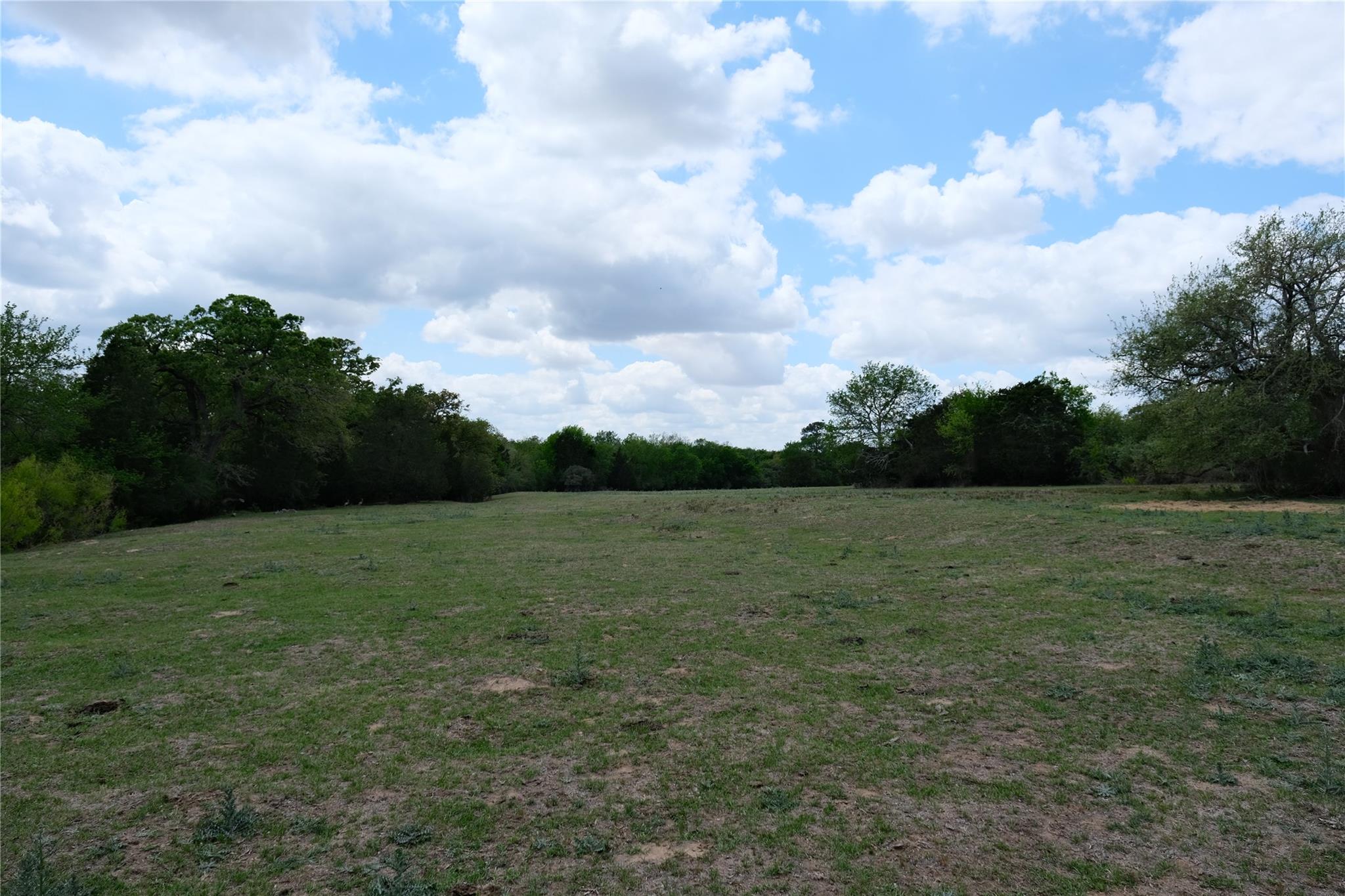 446 Herron Trail Mcdade TX 78650