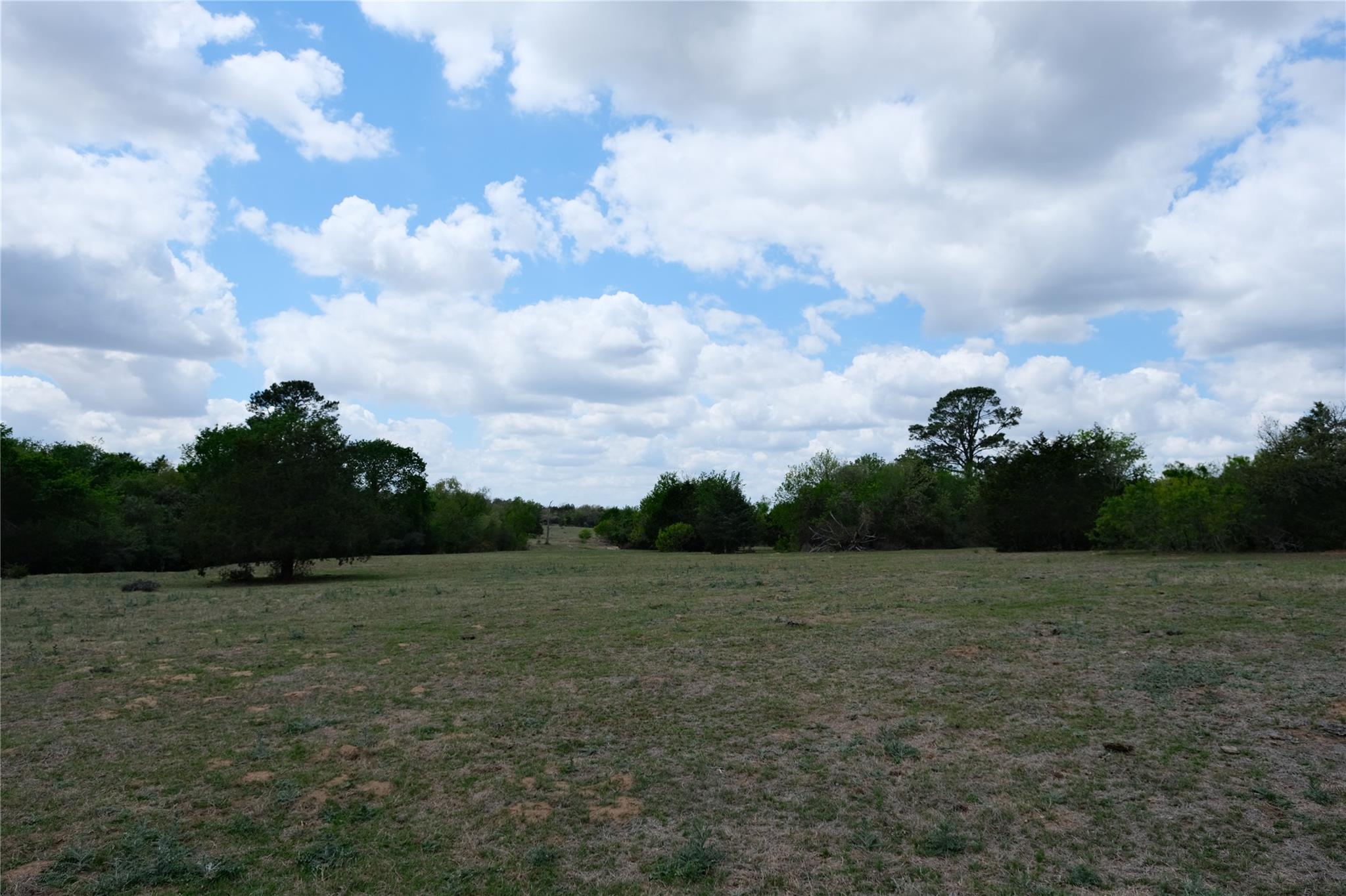 446 Herron Trail Mcdade TX 78650