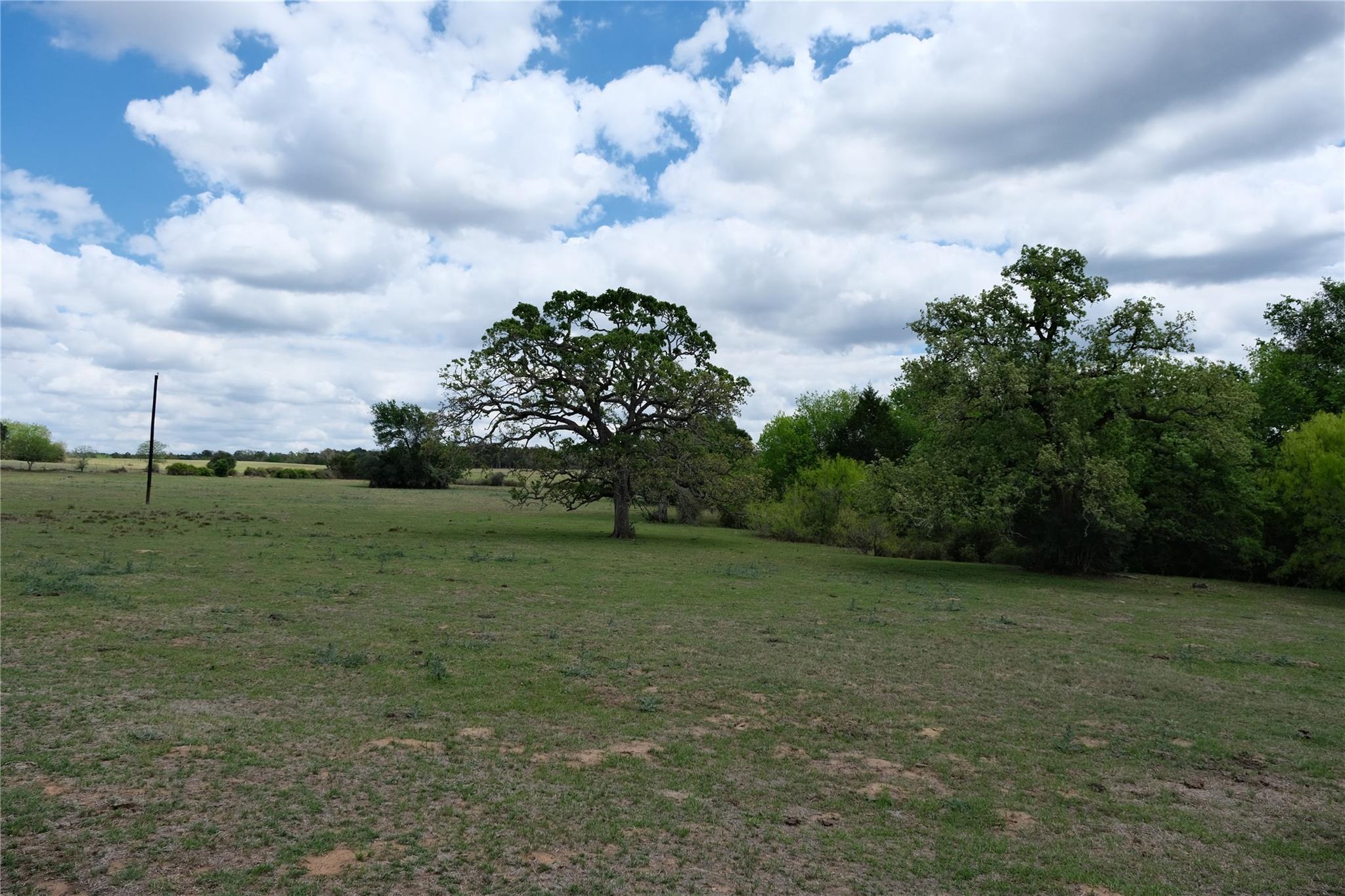 446 Herron Trail Mcdade TX 78650