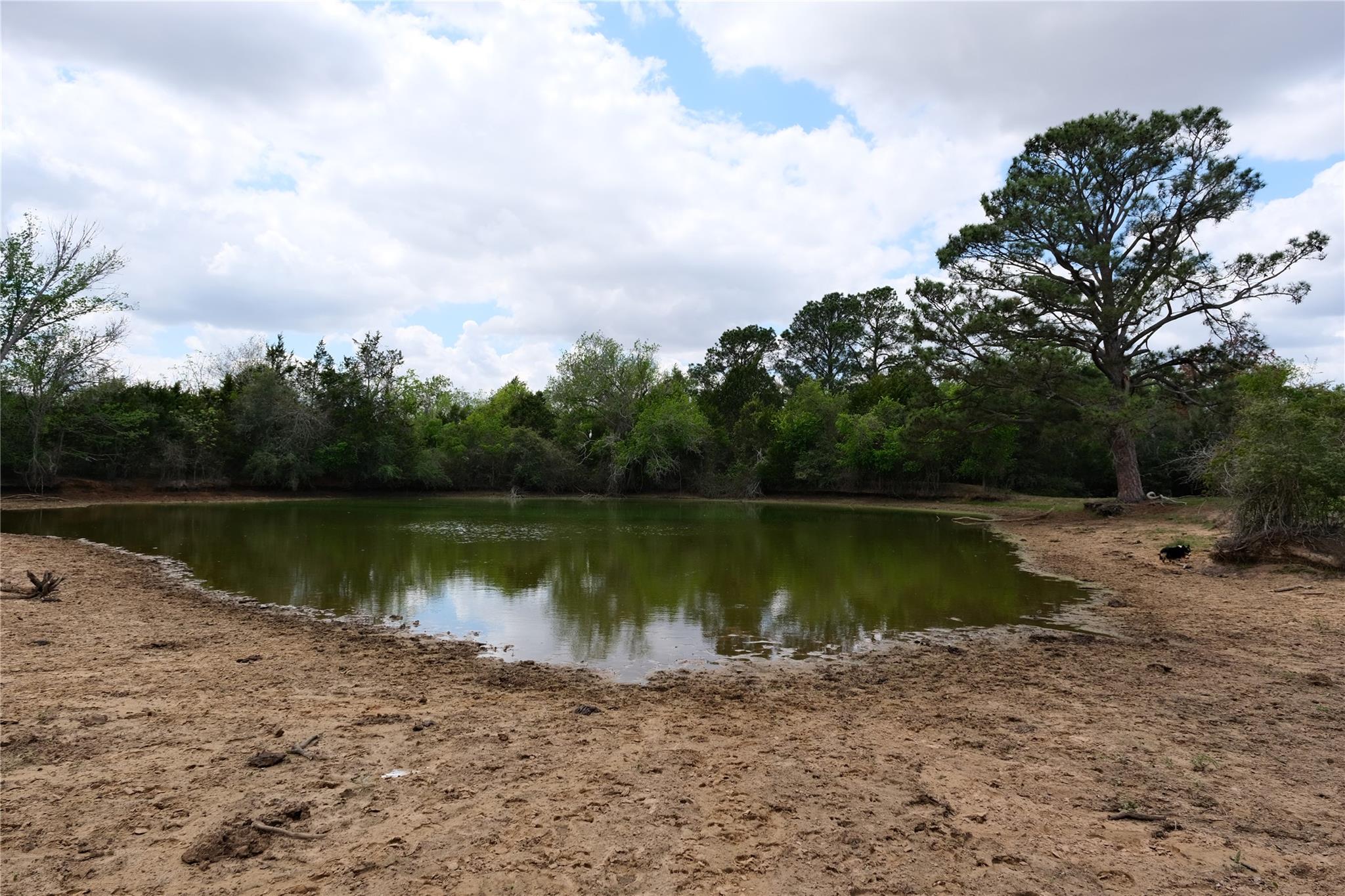 446 Herron Trail Mcdade TX 78650