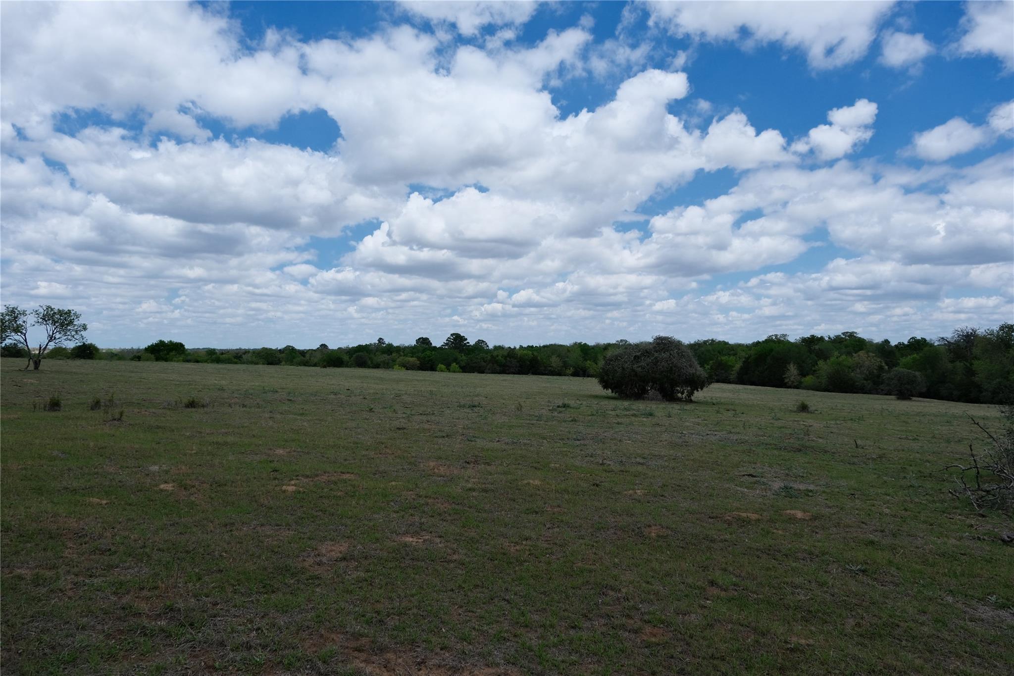 446 Herron Trail Mcdade TX 78650