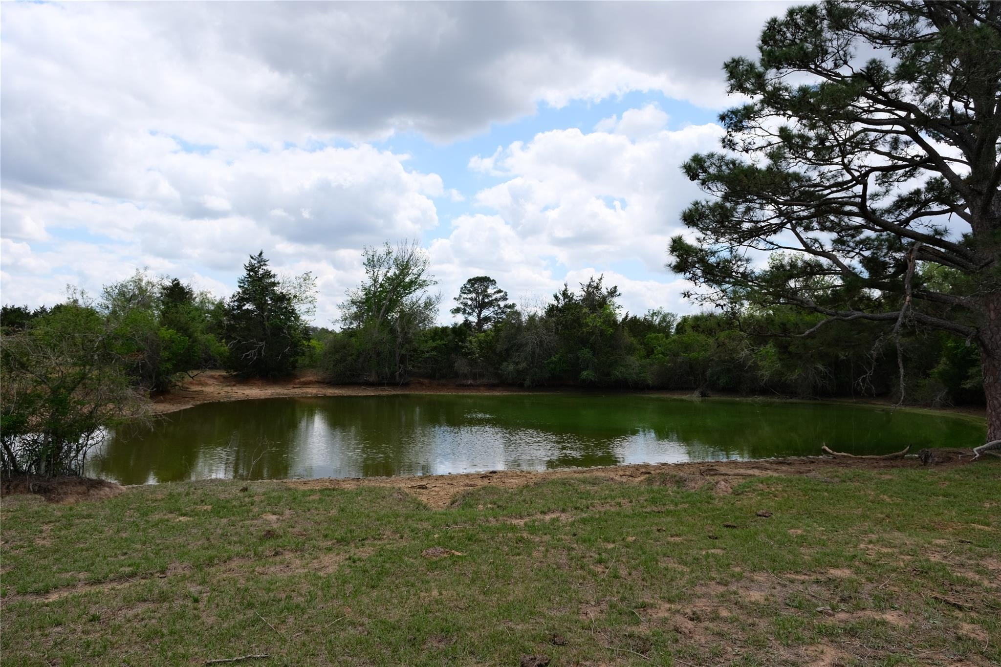 446 Herron Trail Mcdade TX 78650