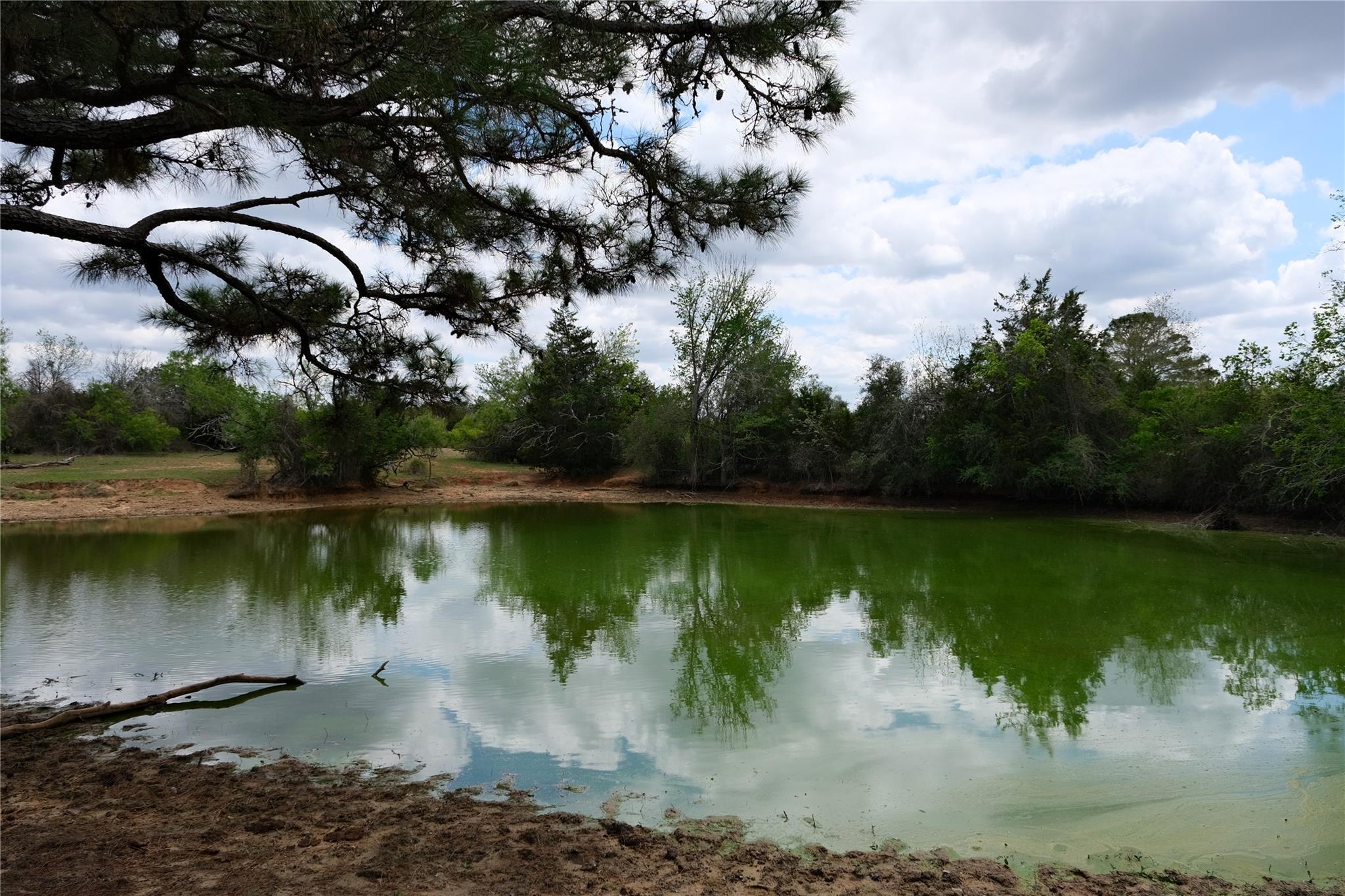 446 Herron Trail Mcdade TX 78650
