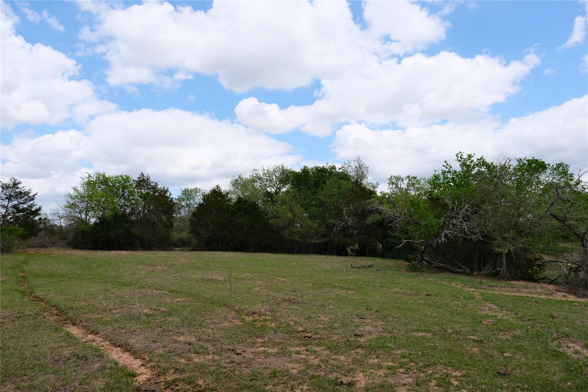 446 Herron Trail Mcdade TX 78650