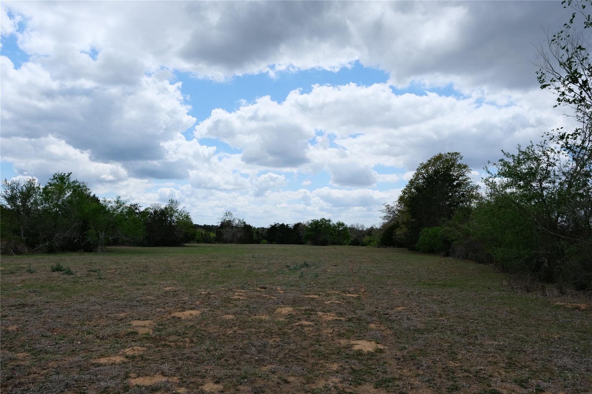 446 Herron Trail Mcdade TX 78650