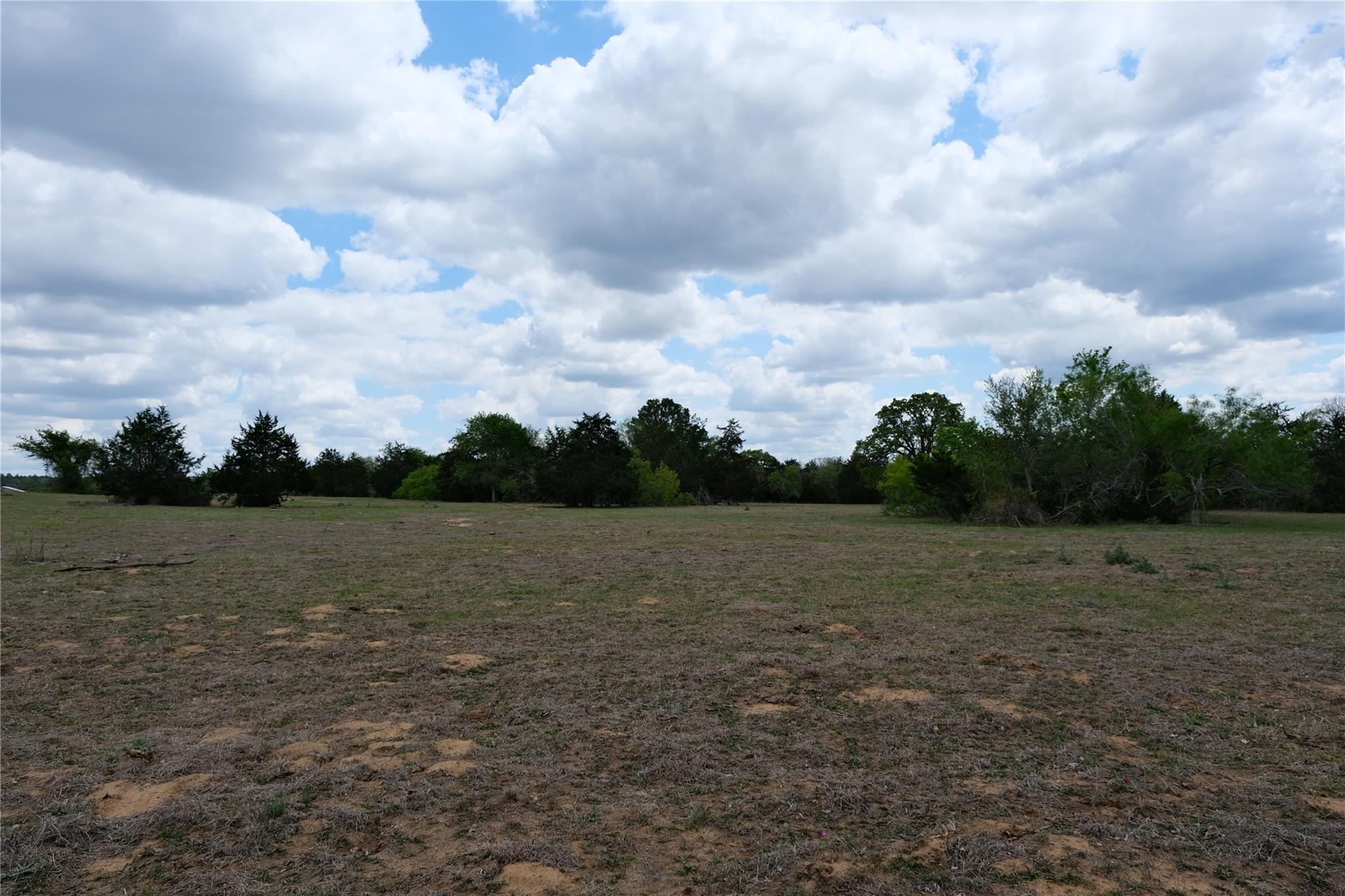 446 Herron Trail Mcdade TX 78650